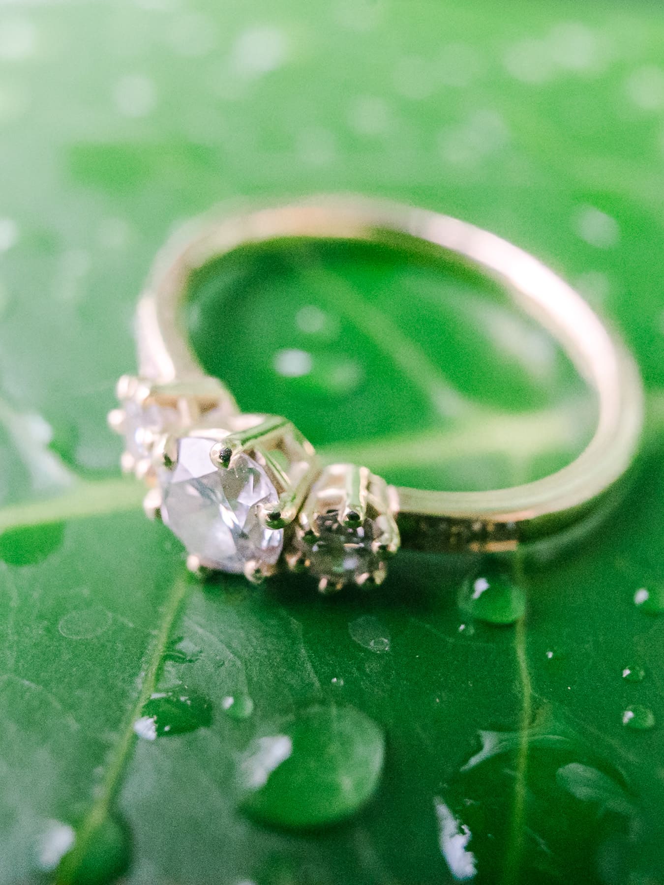 Hochzeitsring auf Blatt